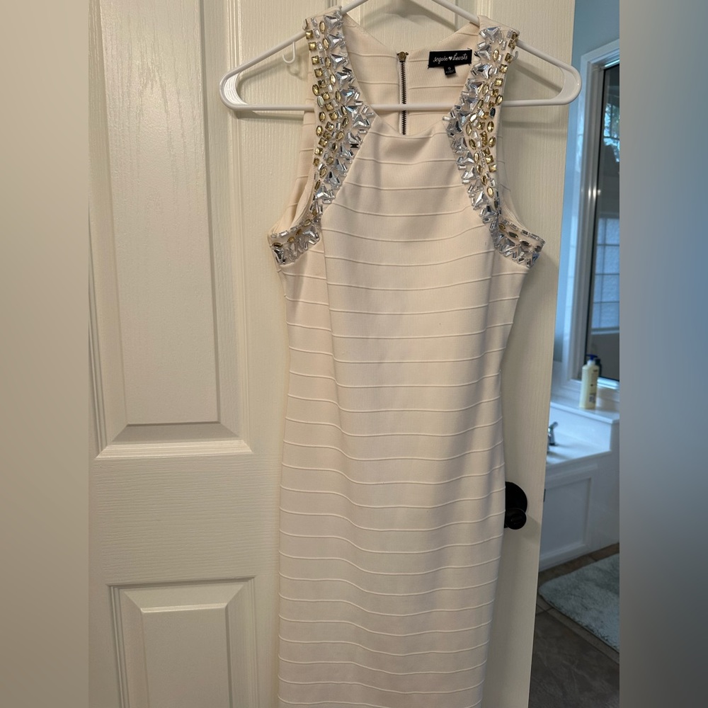 Spandex and Jeweled Dress